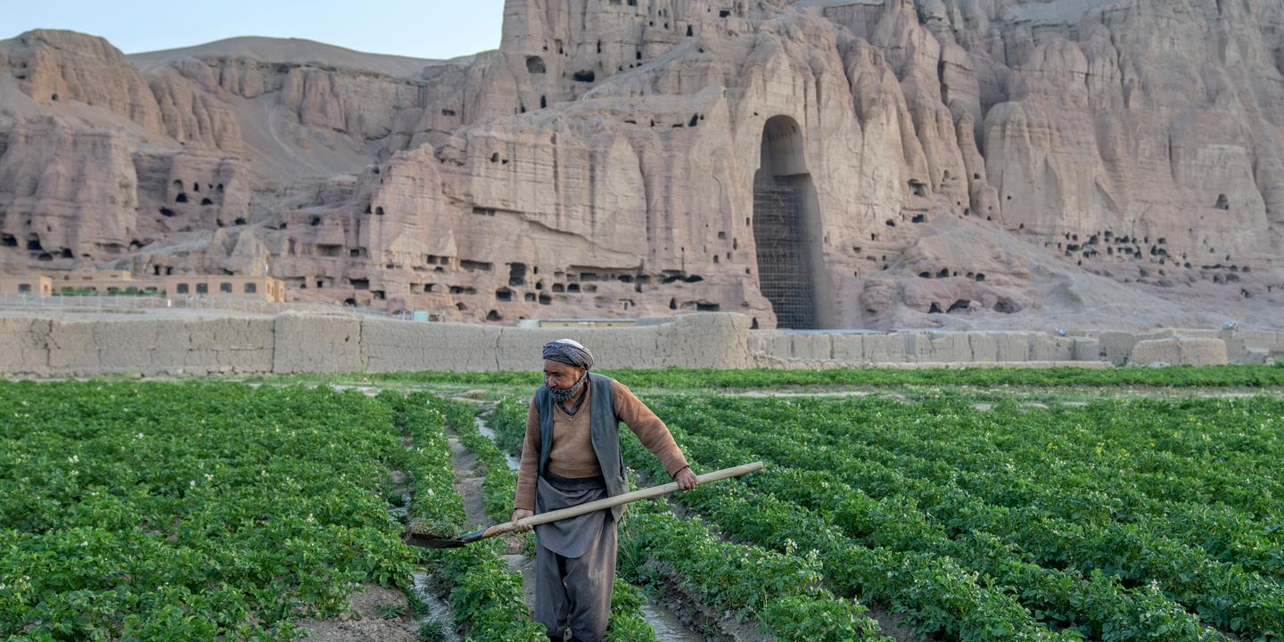 Bamiyan deals