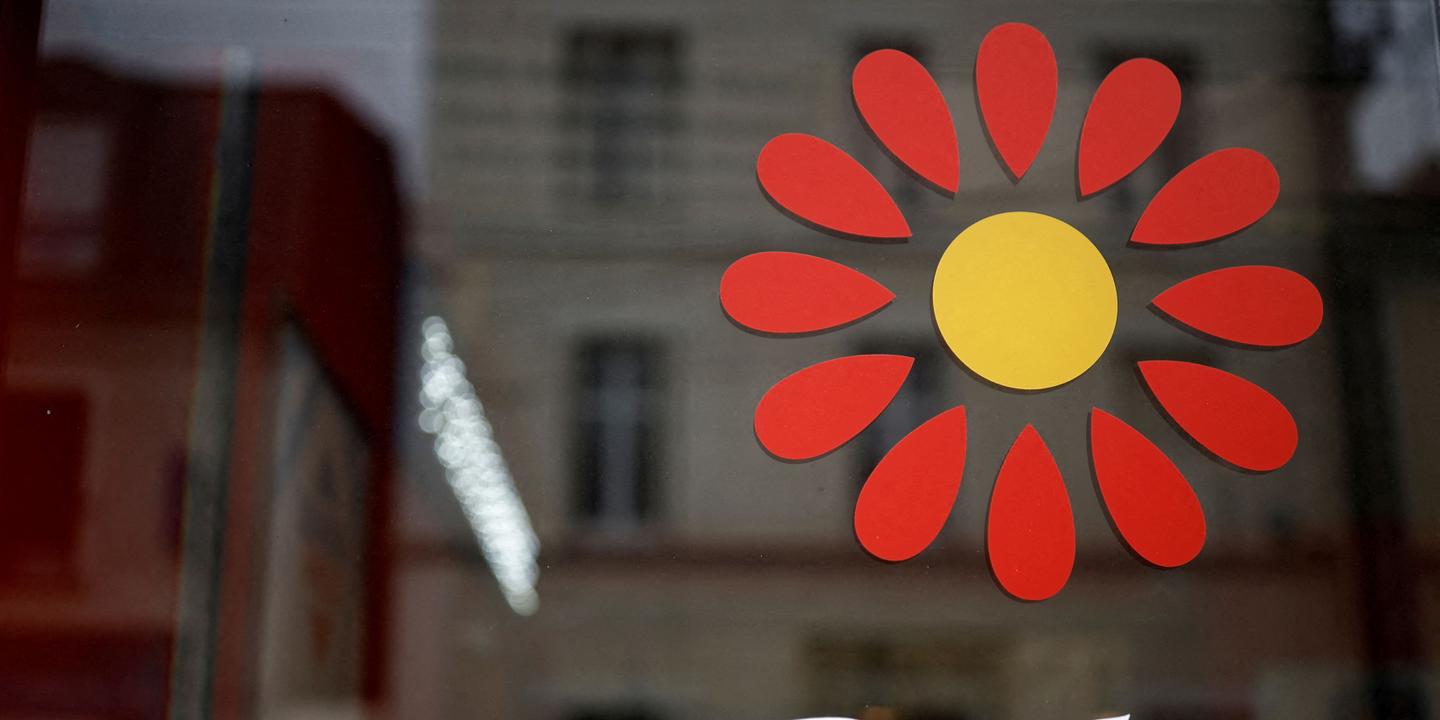 Île en compagnie de Casino mot ile de casino bonus sans dépôt 2024 : portail efficient ou arnaque ?