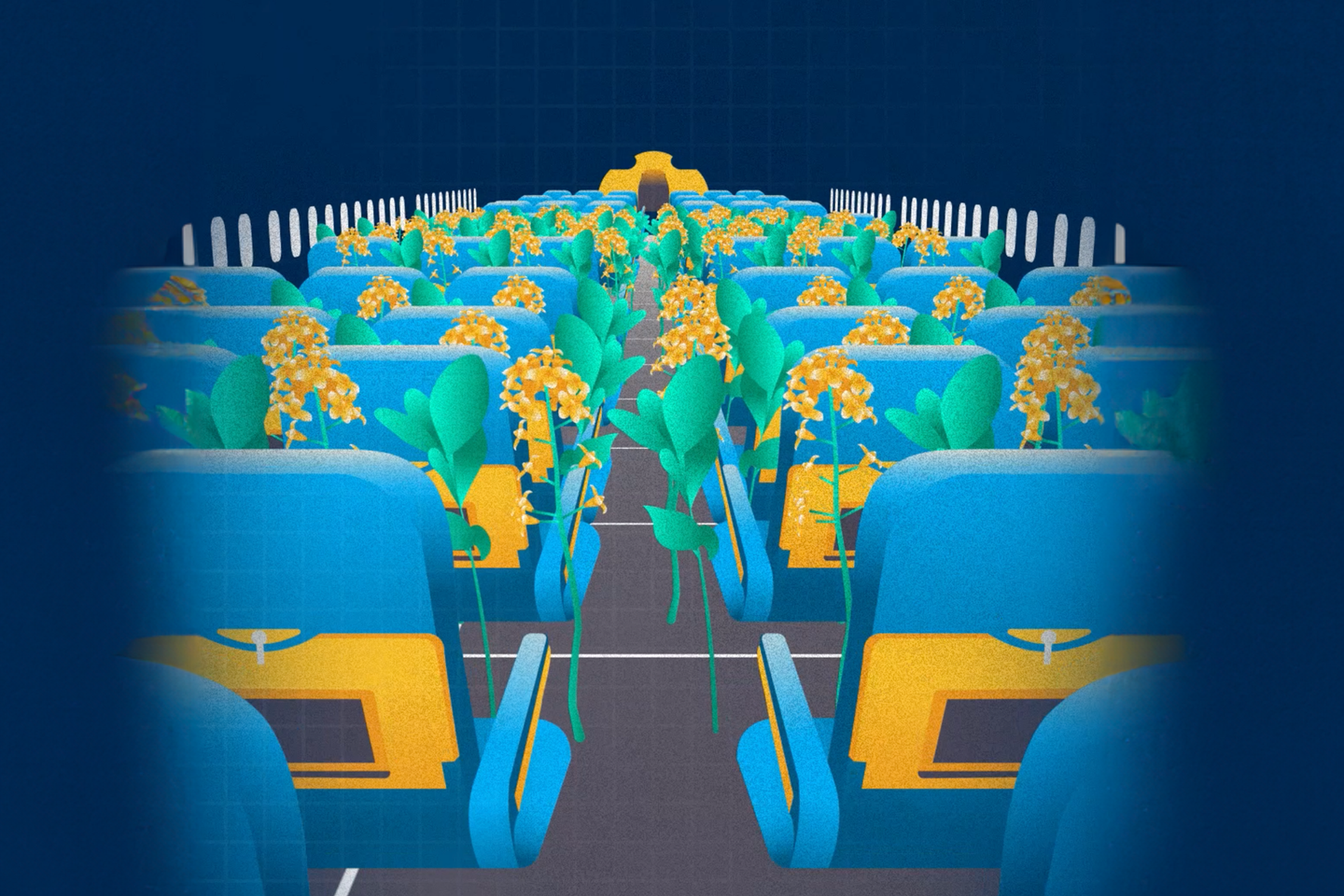 ¿Puede la aviación realmente volverse limpia?  Entiende en tres minutos