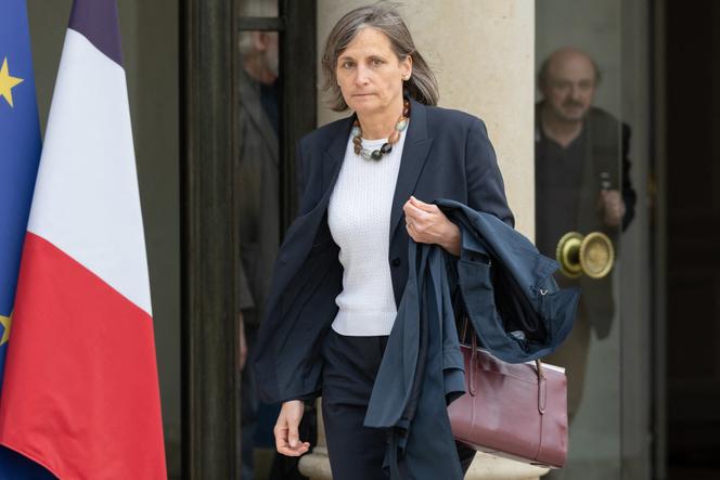 Corinne Le Quéré, présidente du Haut Conseil pour le climat, à l’Elysée, en mai 2022.
