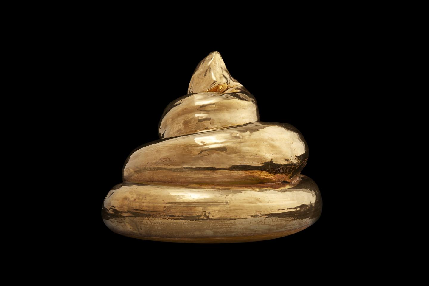 The healing power of poop