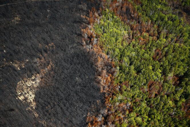 Après un incendie de forêt, en Nouvelle-Ecosse, dans l’est du Canada, en juin 2023.