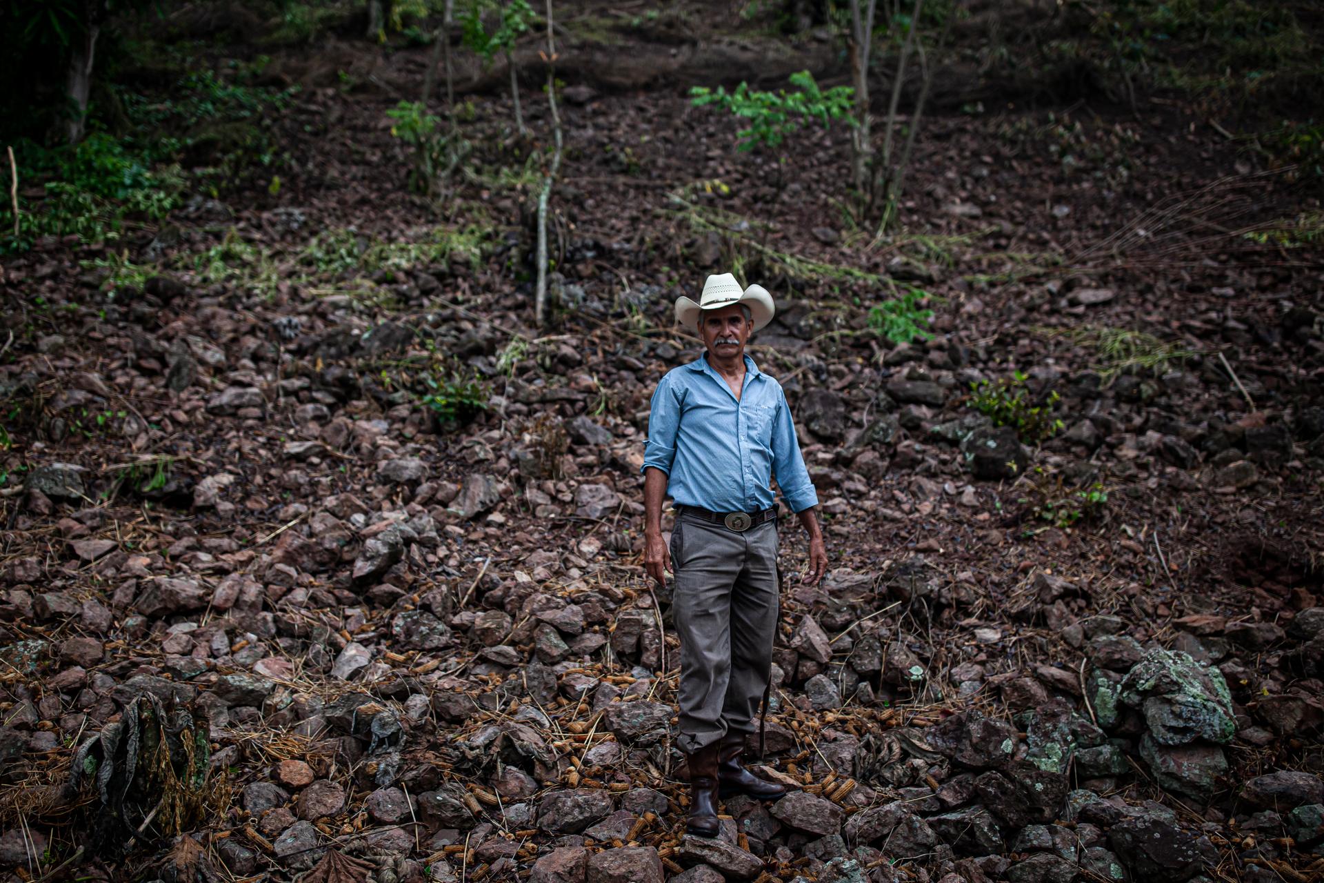 Gerardo Castañeda, 56, on his bean and corn plantation in the village of Guior, Guatemala, on June 21, 2023.