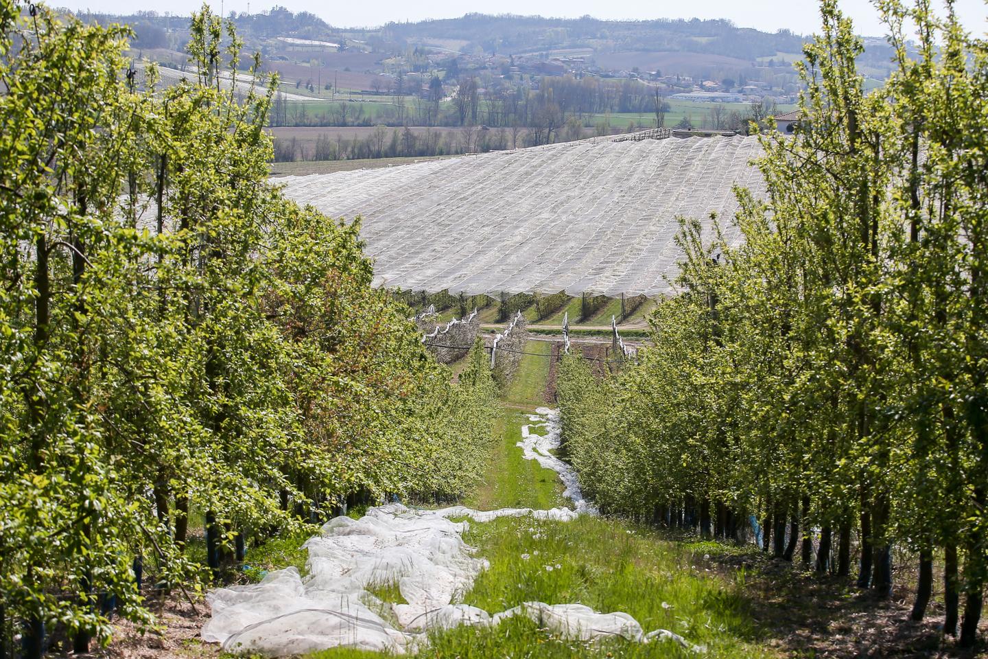 “Si no hacemos nada, el fenómeno del acaparamiento de tierras crecerá cada vez más”