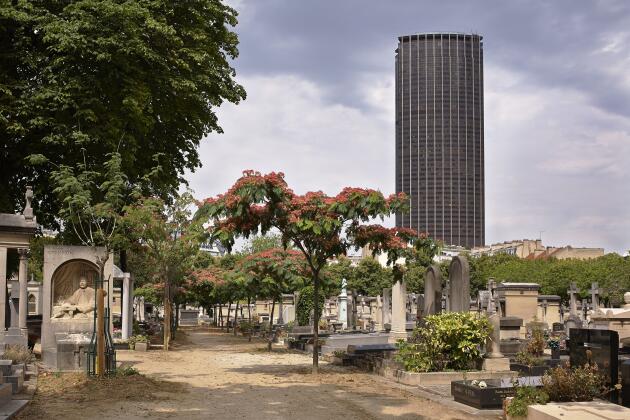 Le cimetière du Montparnasse.
