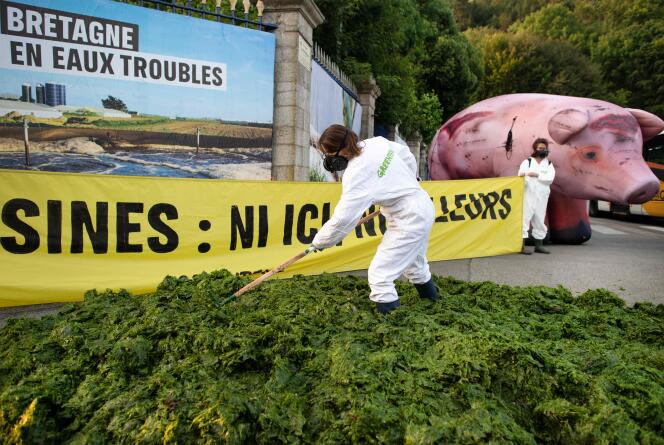 Des militants de Greenpeace déversent des algues vertes devant la préfecture du Finistère, à Quimper, le 10 juillet 2023.  (Photo Fred TANNEAU/AFP)