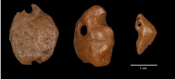 Ostéodermes de paresseux géants ayant été perforés pour servir de parure, trouvés dans l’abri rocheux de Santa Elina (Brésil), dans des niveaux datés de plus de 25 000 ans.
