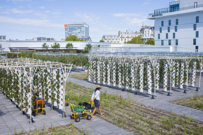     La granja urbana instalada en las cubiertas del centro de exposiciones Porte de Versailles, en París, el 9 de septiembre de 2020.
