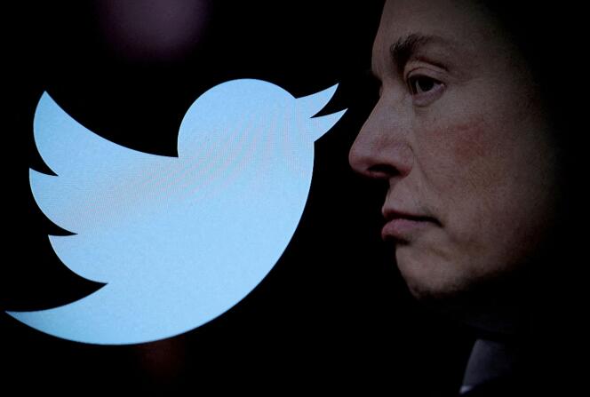 “Pronto nos despediremos de la marca Twitter y, gradualmente, de todos los pájaros”, tuiteó Elon Musk el 23 de julio de 2023.