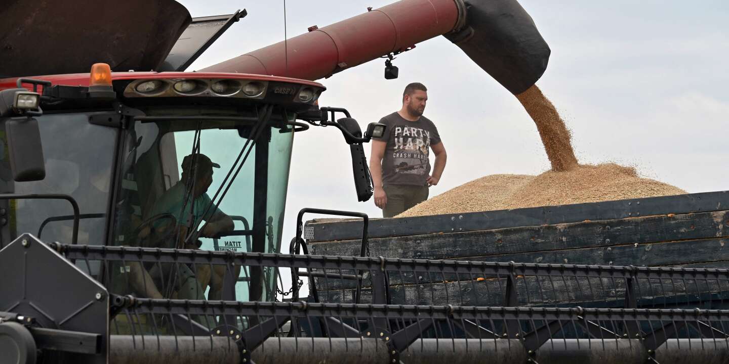 Varsavia e Kiev annunciano un accordo per accelerare il transito del grano ucraino