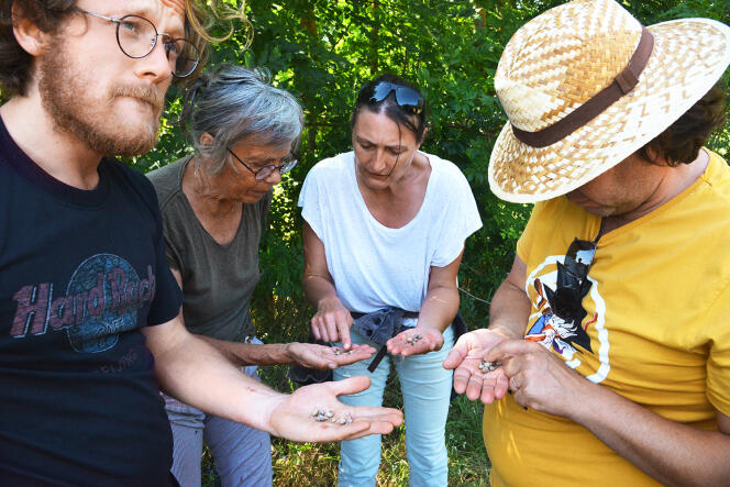 L’observation des escargots lors de l’inventaire de la biodiversité à la ferme du Grand Laval, le 24 juin.