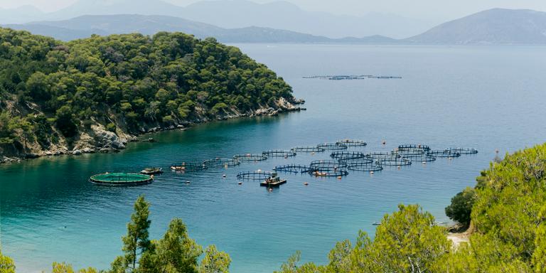 Louiza Vradi for Le Monde A fish farm is seen from above at the island of Poros, Greece. 4 July 2023.