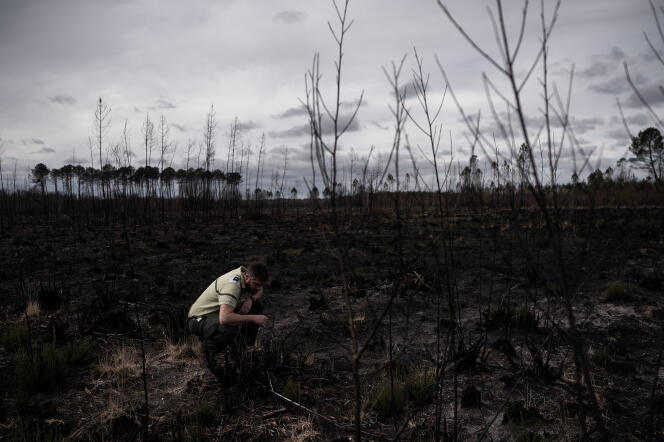Un membre de l’Office national des forêts agenouillé dans une zone ravagée par un incendie de forêt au cours de l’été 2022, à Hostens (Gironde), le 21 mars 2023.