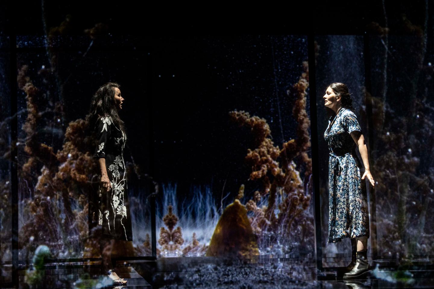 « Picture a Day Like This », sur Arte.tv parcours initiatique et lyrique pour une femme blessée