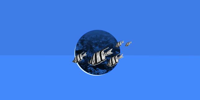 Quiz culture générale : 10 questions de géographie sur les mers et les océans