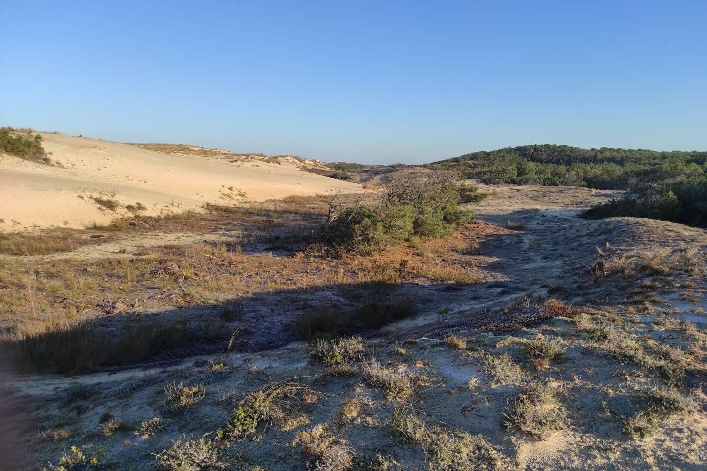 Les côtes de Gironde fragilisées par l’érosion des dunes