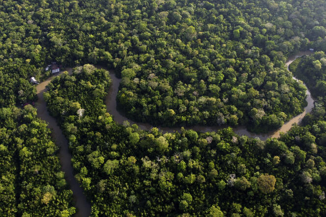 Vue de la forêt coupée par le ruisseau Combu, sur l’île Combu, sur les rives du fleuve Guama, près de la ville de Belem, au Brésil, dimanche 6 août 2023. 