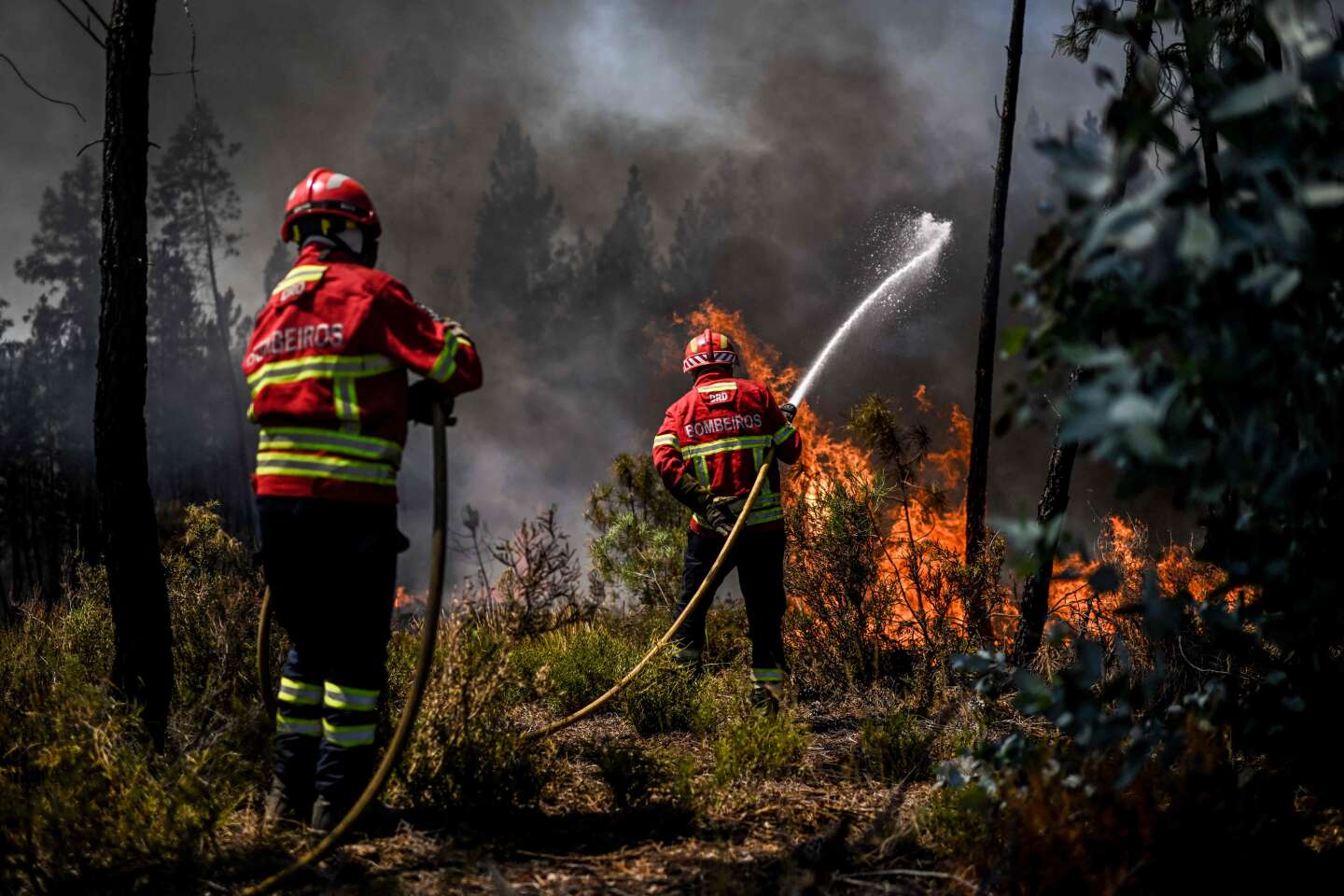 In Portugal, about 3,200 firefighters are still on hand to fight forest fires, including nearly 10,000 hectares of forest that have been destroyed.