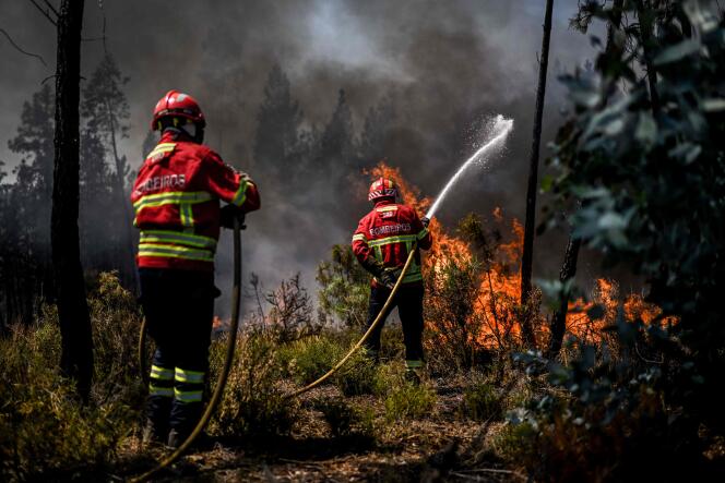 Los bomberos responden a un incendio forestal en Carrascal, Portugal, el 6 de agosto de 2023.