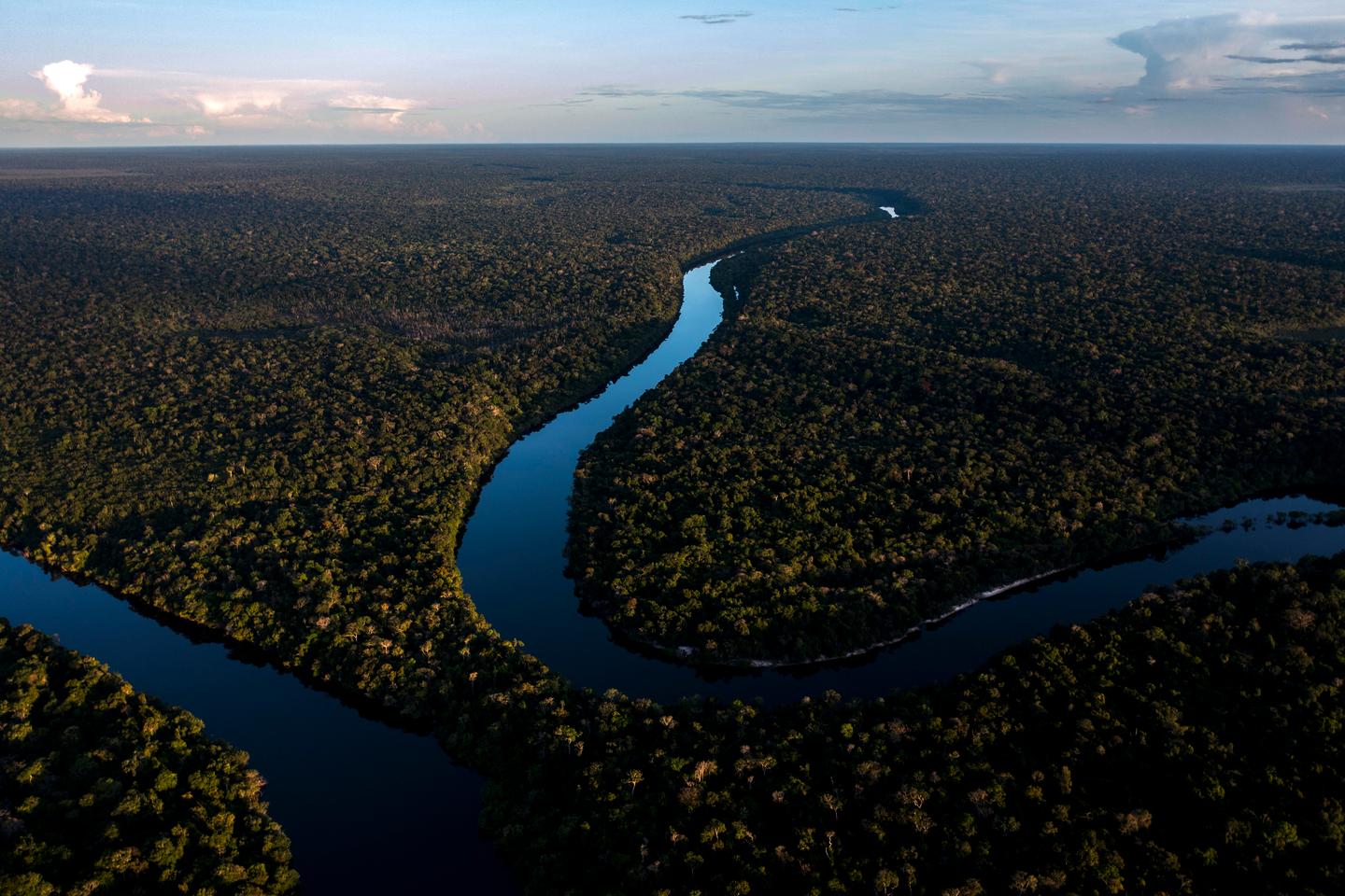 Brasil propõe a criação de um fundo para proteger as florestas tropicais