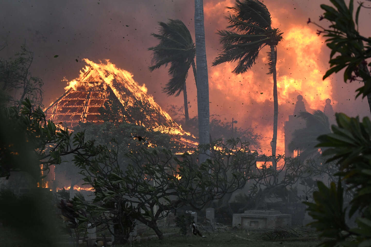 Pożary na Hawajach zabijają co najmniej 36 osób, Joe Biden ogłasza stan klęski żywiołowej