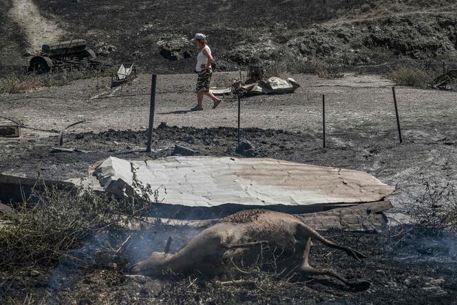 A Nea Anchialos, près de la ville de Volos, dans le centre de la Grèce, le 27 juillet 2023.