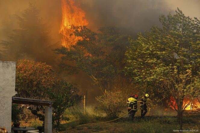 Los bomberos de SDIS 66 están tratando de apagar el incendio que se llevó a Saint-André, el lunes 14 de agosto de 2023.