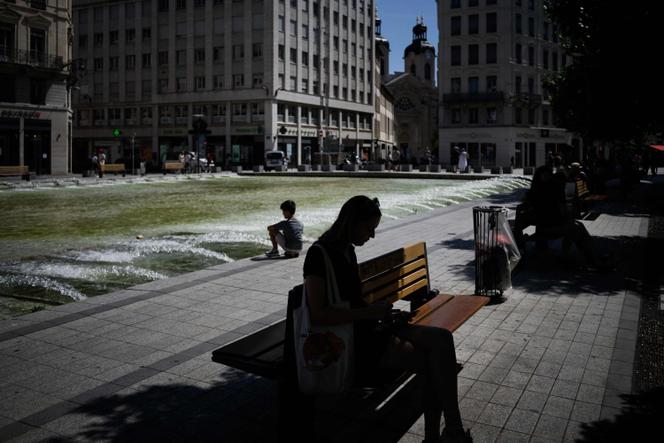 A woman sits in the shade of a tree to protect herself from the sun during a heat wave in Lyon on August 15, 2023. 