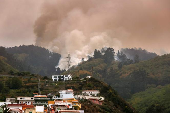 A wildfire rages out of control through forested slopes in La Matanza on the Canary island of Tenerife on August 19, 2023. 