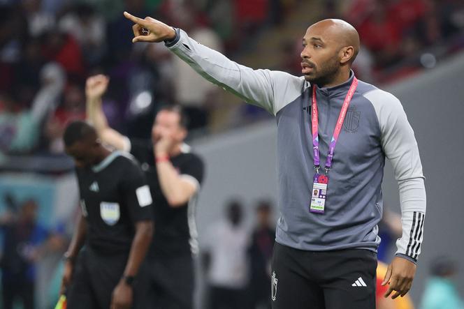 Thierry Henry during the Qatar 2022 World Cup Group F football match between Belgium and Canada in Al-Rayyan, west of Doha.