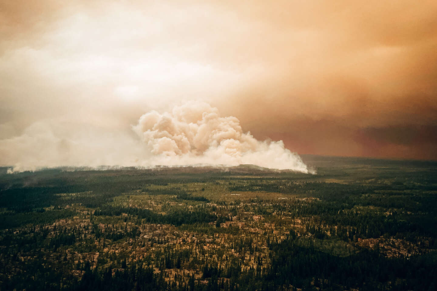 Canada’s bumper fire season could be seven times longer due to global warming