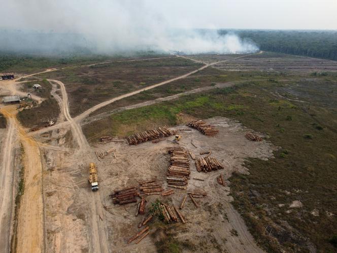 An illegal logging operation in Humaita, in the southern state of Amazonas, Brazil, on September 17, 2022.