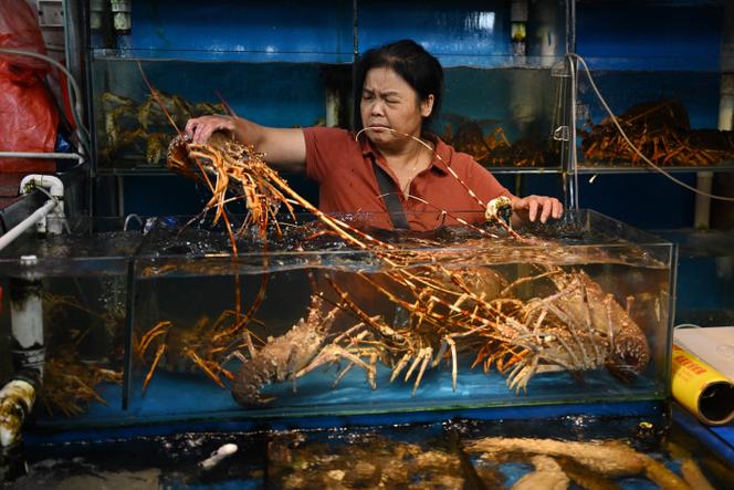 Beijing fish market, August 24, 2023, the day China banned all imports of Japanese seafood. 