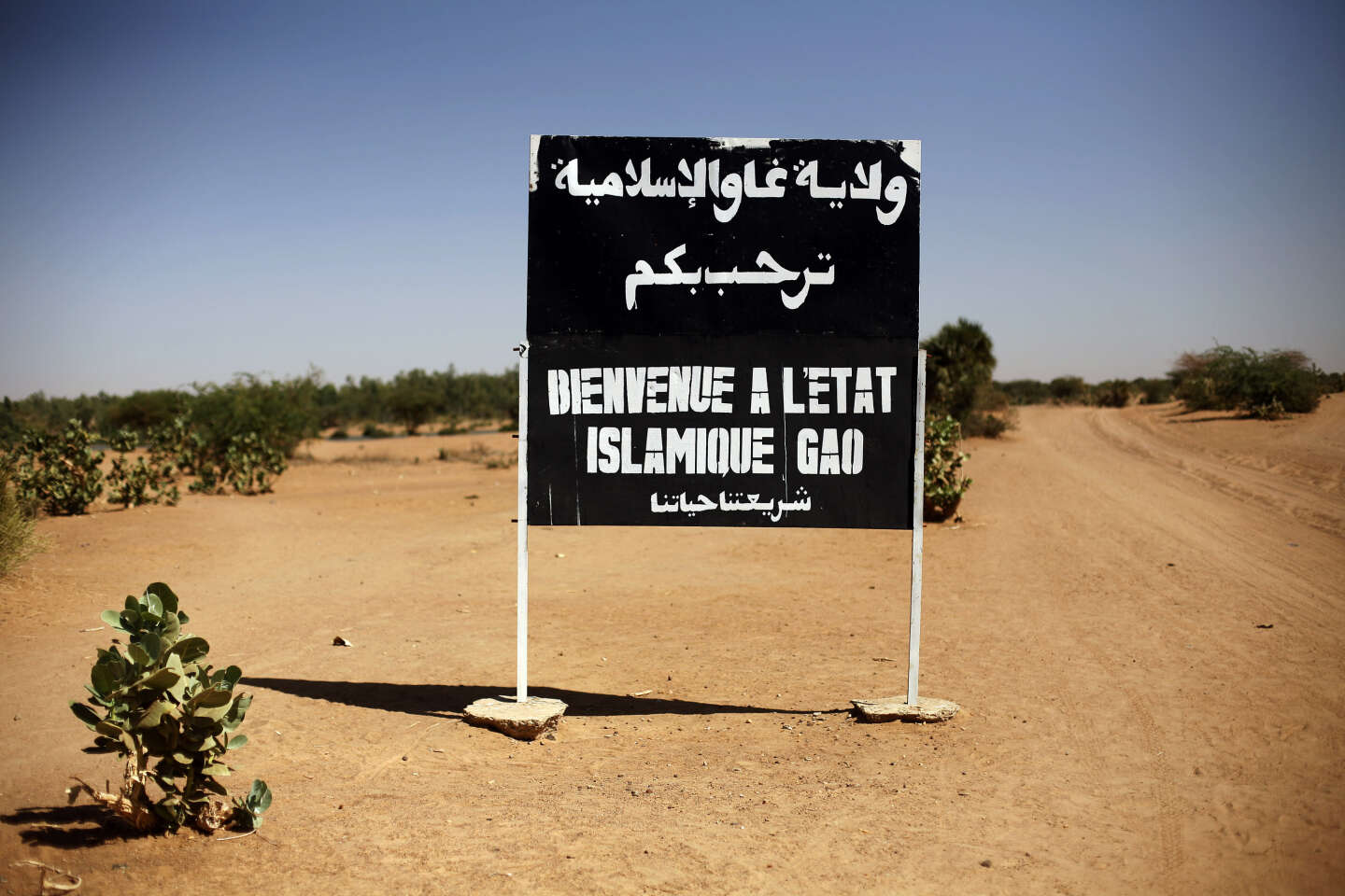 Dix miliciens progouvernementaux tués par des djihadistes dans le nord du Mali