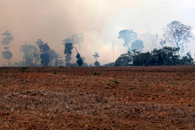 In the aftermath of a fire in the Amazon rainforest in Novo Progresso, Pará state, Brazil, on August 24, 2019.