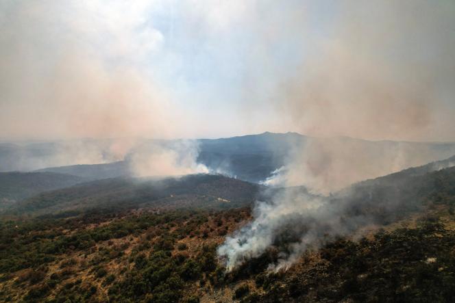 Smoke rises as a wildfire burns at Dadia National Park in the region of Evros, Greece, on August 29, 2023.