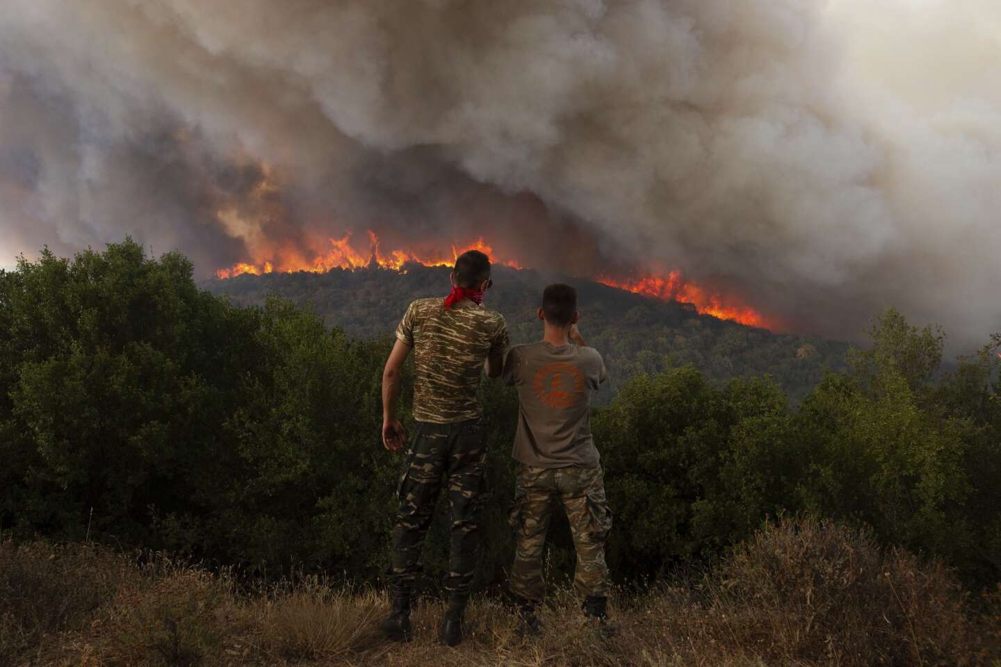 Fires in Greece will destroy more than 1,500 square kilometers of land, PM laments