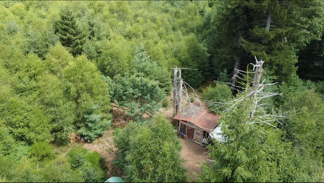 The hut built by Blandine Rouche and Robin Amaz in France's Morvan mountain range, on July 29, 2023.