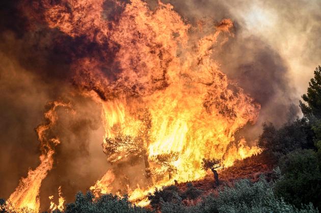 Near Prodromos, a hundred kilometers from Athens, on August 21, 2023.