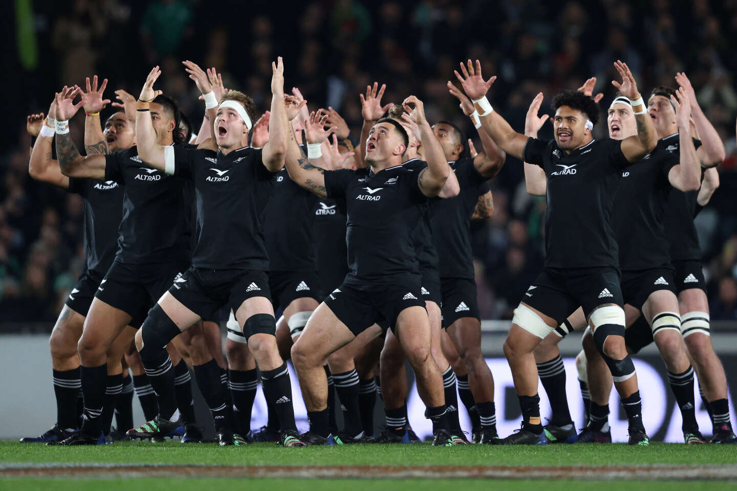 Rugby World Cup The All Blacks' journey from hell to resurrection