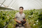 A worker from Kazakhstan at AJ Farm