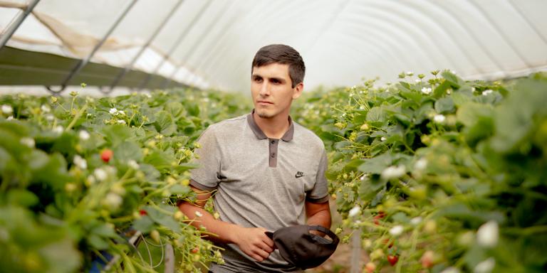 JOHN BOAZ FOR LE MONDE Portrait of Male Worker From Kazakhstan, Windmill Hill Fruits, Herefordshire England 2023.