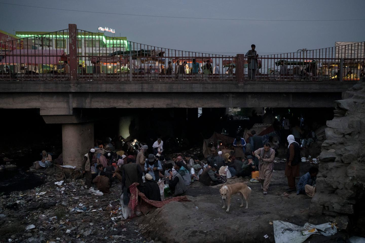 En Afghanistan, la méthamphétamine supplante l’héroïne