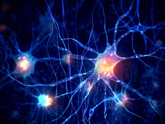 Vue d’artiste d’astrocytes (en orange), cellules présentes dans le cerveau aux côtés des neurones.