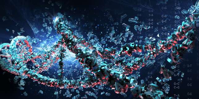 Extraits des « Cellules buissonnières », le livre qui explore l’ADN humain : « Le microchimérisme brouille les frontières du temps et de la mort »