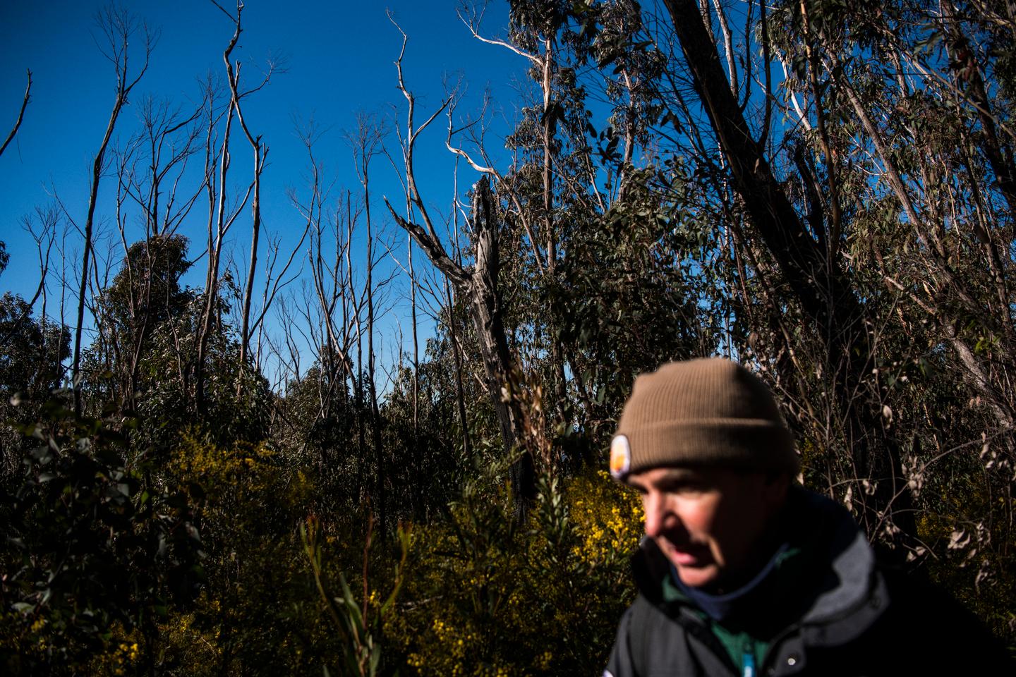 Australia after 'Black Summer': A slow recovery from the 2019-2020 ...