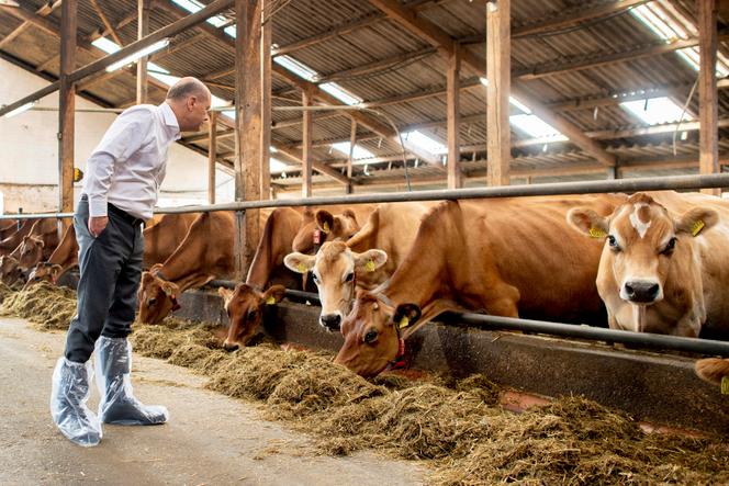 German Chancellor Olaf Scholz visits a farm near Bremen, Germany, on September 14, 2023. 