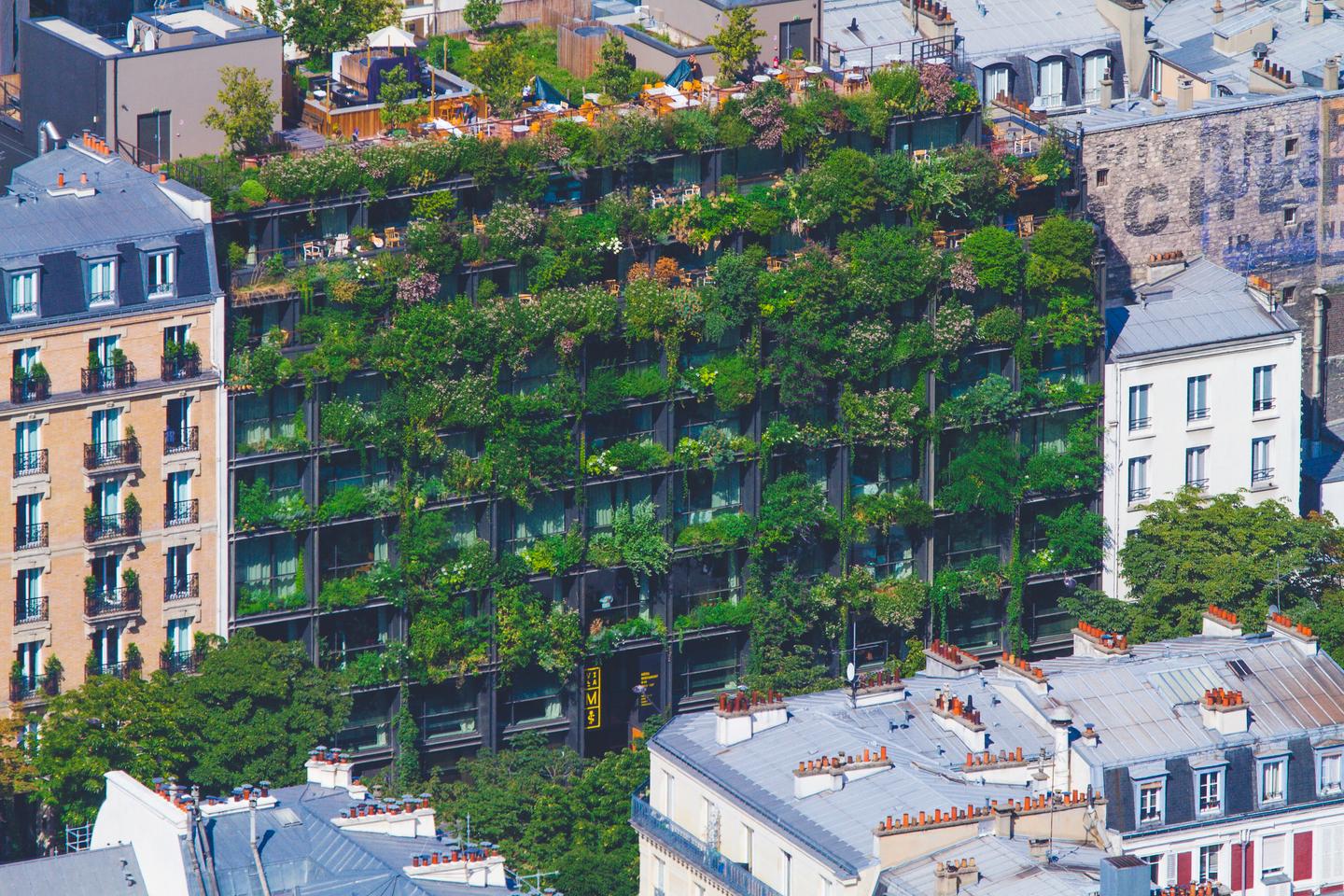 'Adopting eco-friendly behavior also makes people happier!'