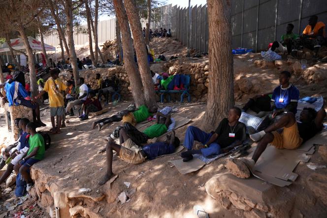 Migrants wait under pine trees at the operational center to receive registration papers from the Italian Red Cross on the Italian island of Lampedusa, on September 17, 2023.