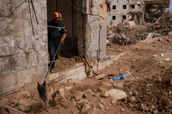 A member of the Algerian Civil Defense uses a dog to search through the rubble in Derna, Libya, on September 19, 2023.